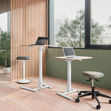 LEITZ Bureau assis-debout ergo 6588-00-01 Blanc, réglable en hauteur