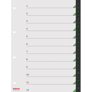 KOLMA Register LineaVerde A4 19.801.06 schwarz 1-12