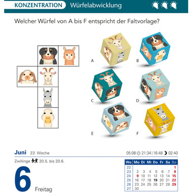 HARENBERG Abreisskalender 2025 2103700+25 Brain Jogging DE 12.5x16cm