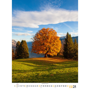 CALENDARIA Bildkalender 2025 783036204758 Swiss Photo Poster ML 50x68cm
