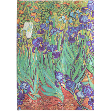 PAPERBLANKS Carnet Van Goghs Midi PB8204-0 ligné, 144 S., multicouleur