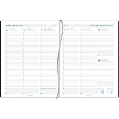 AURORA Agenda Vivella PAW Perl 2027 2716 1S/2P ass. ML 21x27cm