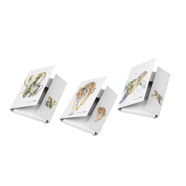PAGNA Boîte de collection ass. A4 21351-25 Save me No.3 Elastique