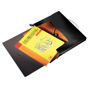 LEITZ Box Solid PP A4 45681095 noir