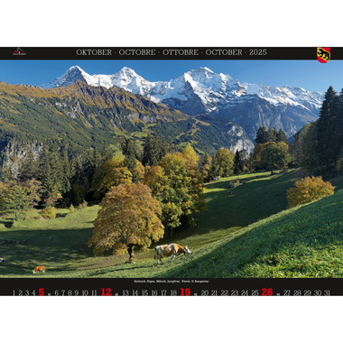 CALENDARIA Bildkalender 2025 783036204963 Bern ML 40x31cm