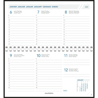 AURORA Agenda Seta Novopl. Pearl 2025 1714P 1W/2S ass. ML 9x16.5cm