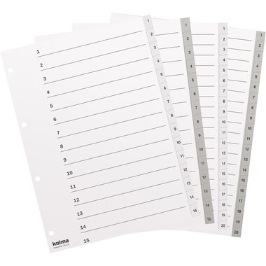KOLMA Register KolmaFlex A4 18.120.16 weiss 1-20