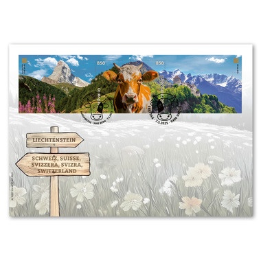 Sonderumschlag Crypto Stamp CHLI, Orange Single stamps (2 stamps, postage value CHF 17.00) on special cover C5, cancelled