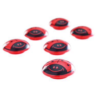 MAGNETOPLAN Magneti Coccinella 16674 30mm 6 pezzi