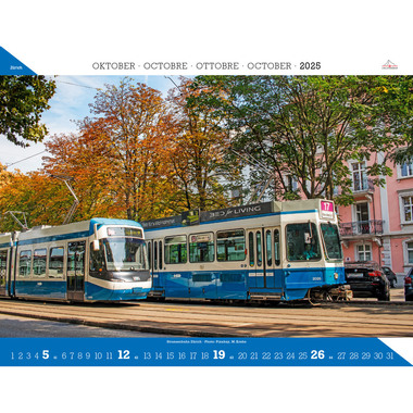CALENDARIA Calendario 2025 783036204987 Zürich ML 40x31cm
