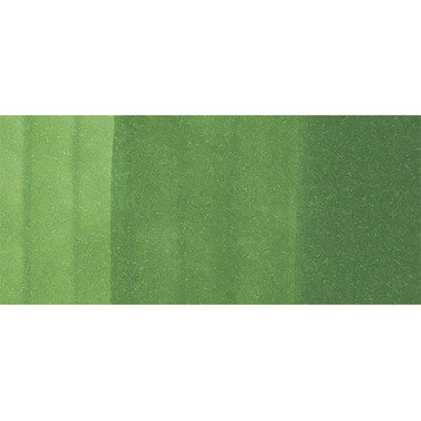 COPIC Marker Classic 20075205 YG67 - Moss