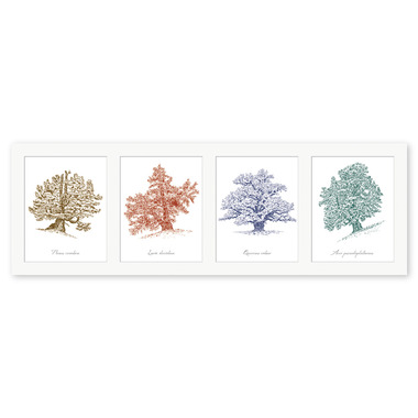 Arbres, Oeuvre graphique