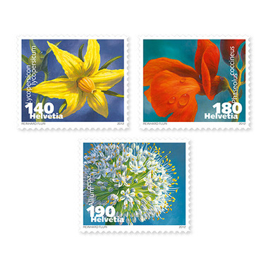Légumes en fleurs